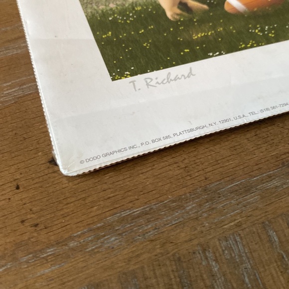 Original “The Quarterbacks” Art Print - Picture 8 of 11